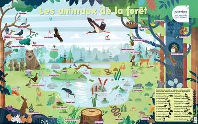 Les posters phosphorescents - les animaux de la foret