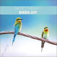 MUSIC THERAPY BIRDS JOY - AUDIO