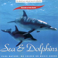 SEA & DOLPHINS - AUDIO