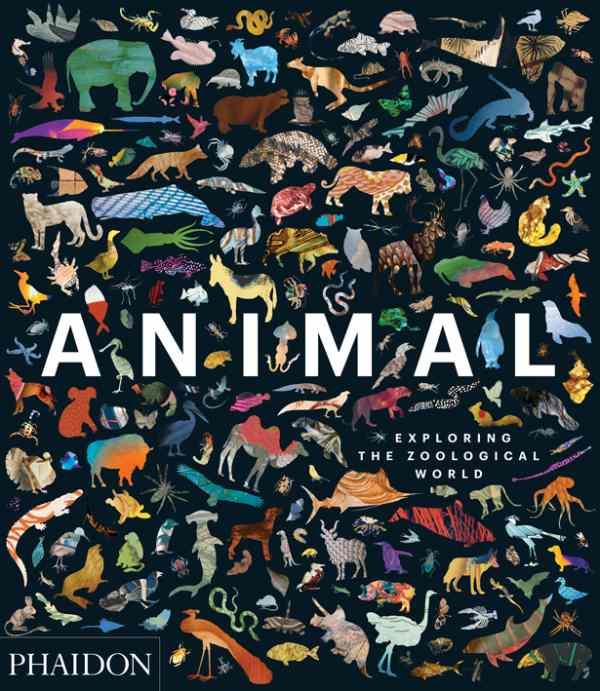 ANIMAL - EXPLORING THE ZOOLOGICAL WORLD
