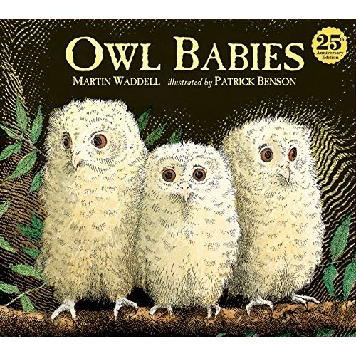 OWL BABIES