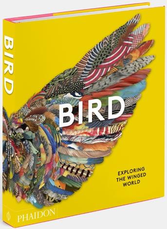 BIRD - EXPLORING THE WINGED WORLD