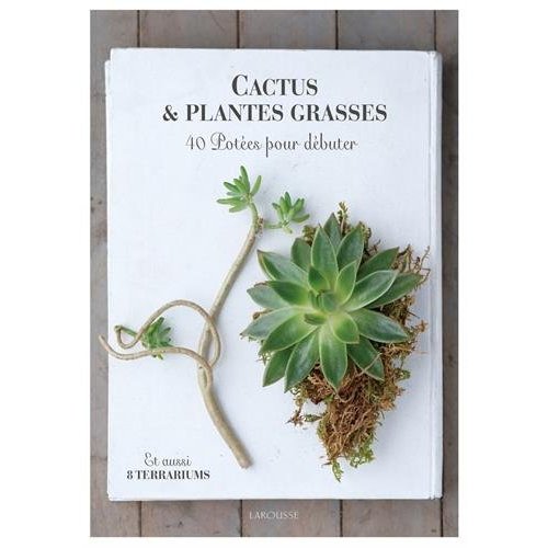 CACTUS ET PLANTES GRASSES