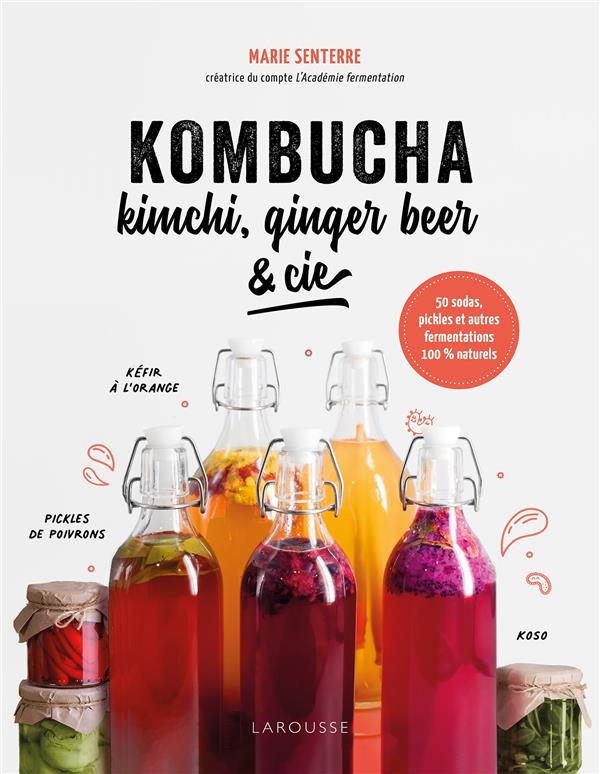 KOMBUCHA, KIMCHI, GINGER BEER & CIE - 50 SODAS, PICKLES ET AUTRES FERMENTATIONS 100% NATURELS