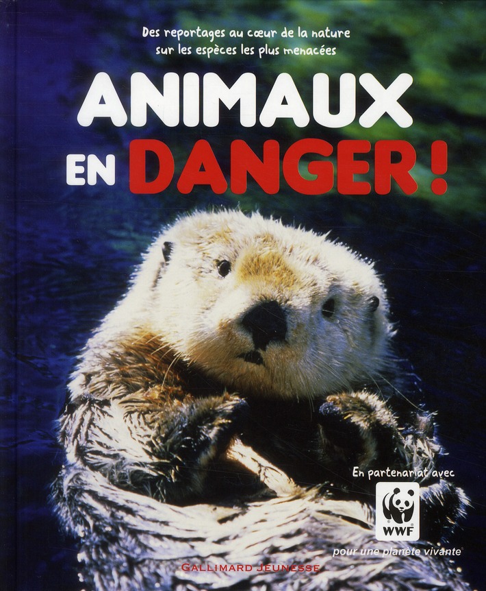 https://bddi.2dcom.fr/LocalImageExists