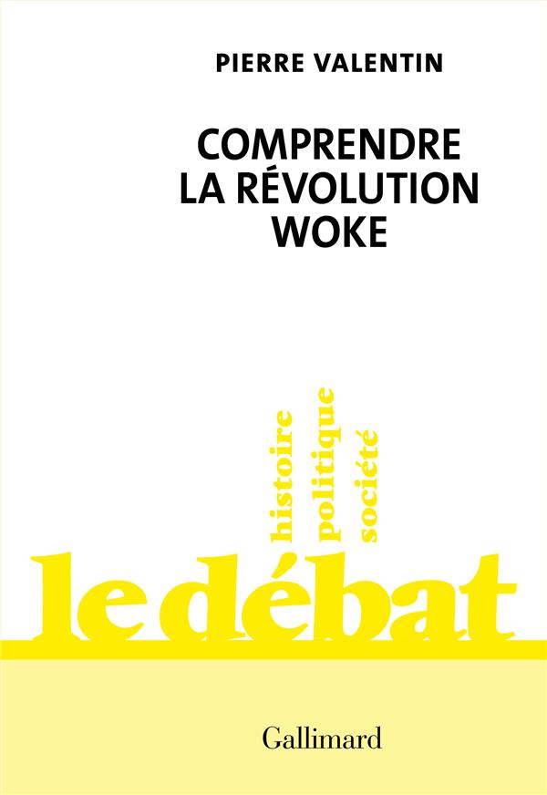 Comprendre la revolution woke