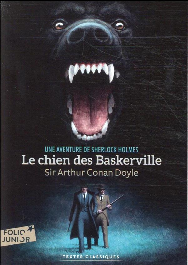 Le chien des baskerville