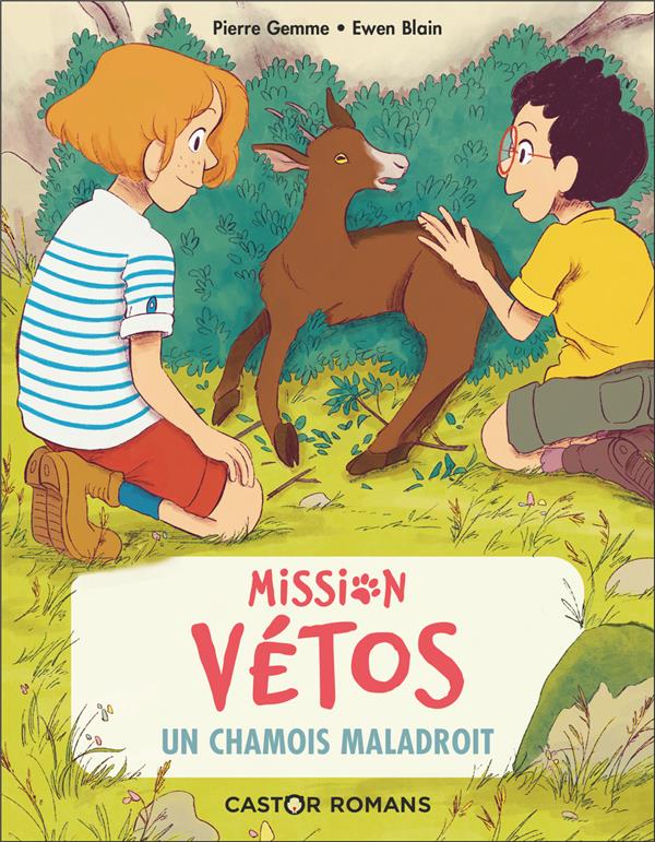 Mission vetos - t09 - un chamois maladroit