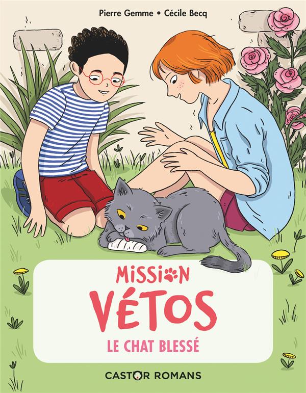 Mission vetos - le chat blesse