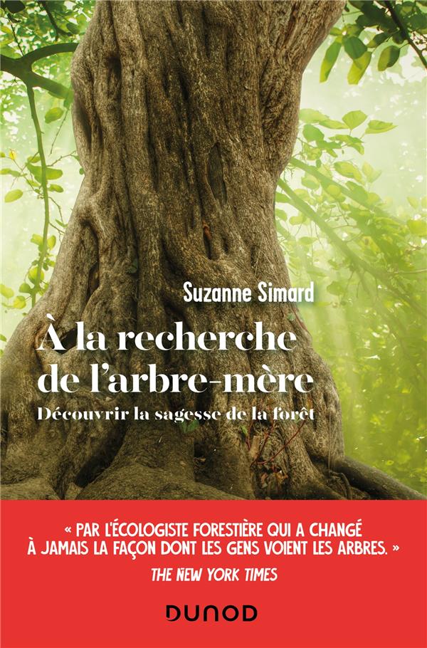 A la recherche de l'arbre-mere - decouvrir la sagesse de la foret