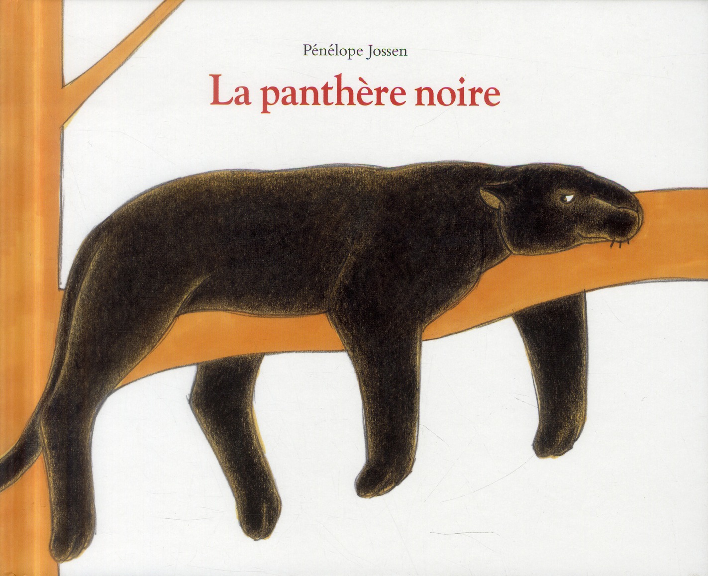 Panthere noire (la)