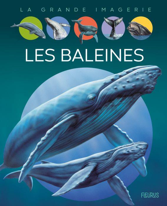 https://bddi.2dcom.fr/LocalImageExists