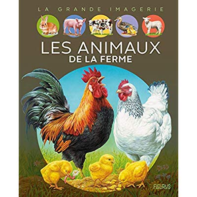 https://bddi.2dcom.fr/LocalImageExists