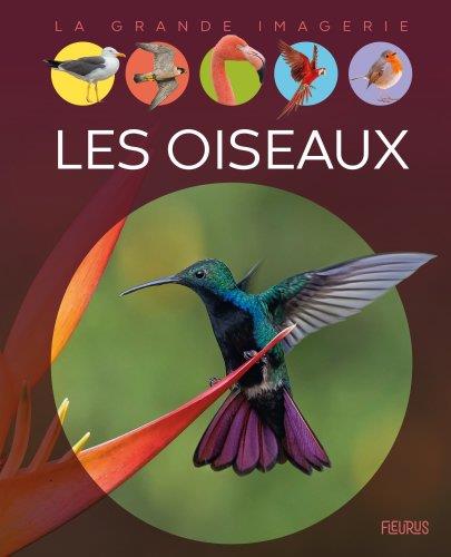 https://bddi.2dcom.fr/LocalImageExists
