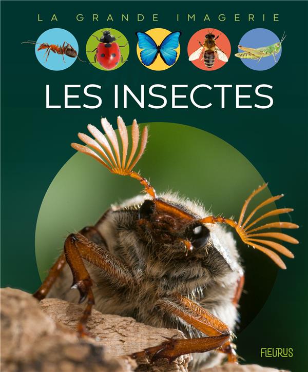 Les insectes - nouvelle edition