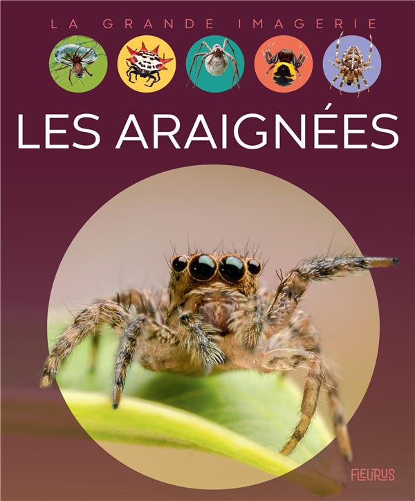 Les araignees