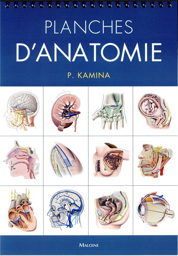 PLANCHES D'ANATOMIE HUMAINE. 31 PLANCHES. RELIURE A SPIRALE, 3E ED.