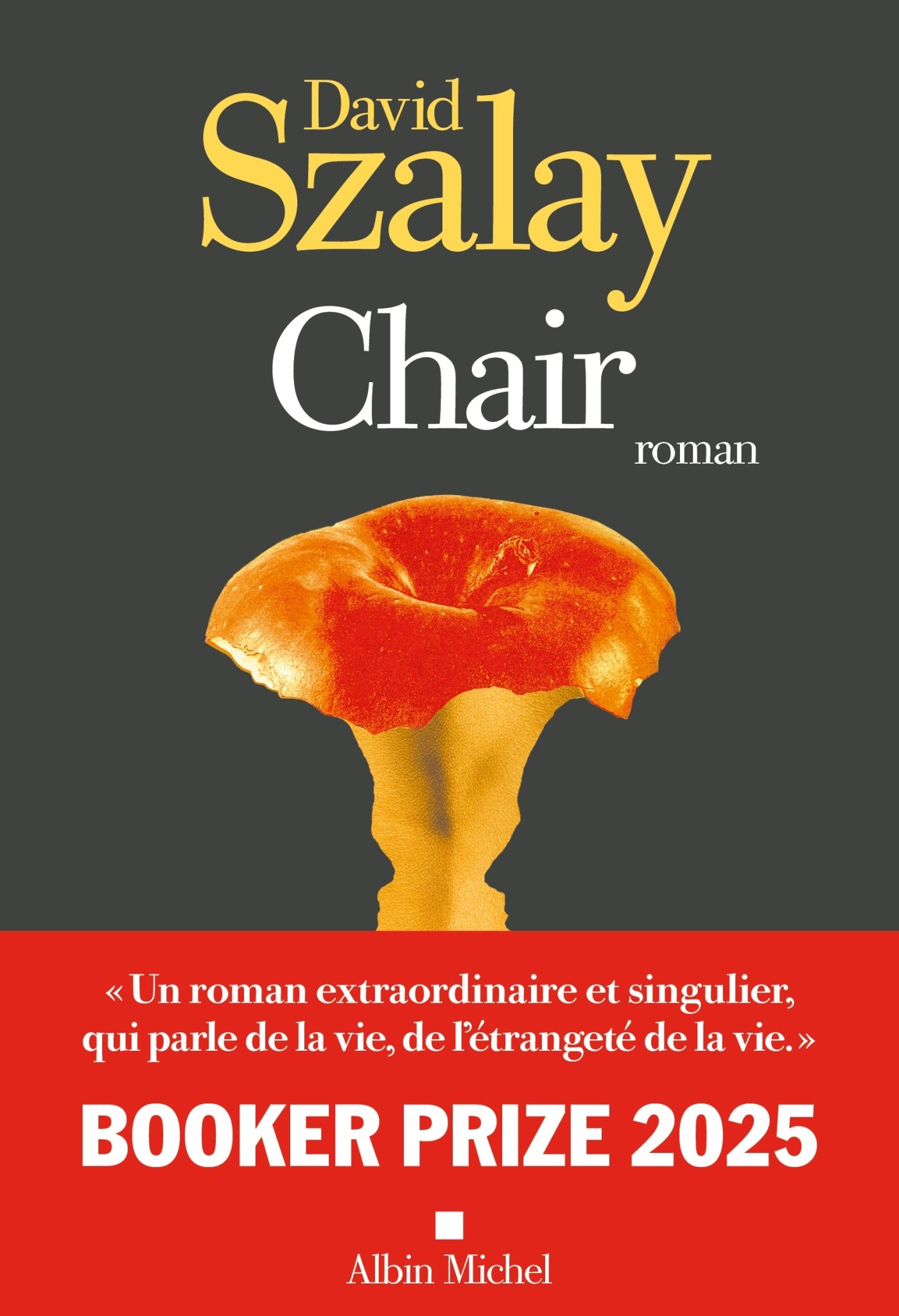 Chair - booker prize 2025