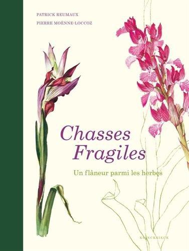 CHASSES FRAGILES - UN FLANEUR PARMI LES HERBES