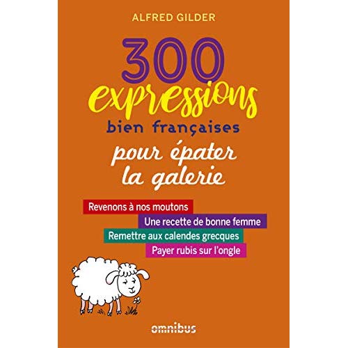300 expressions bien francaises pour epater la galerie