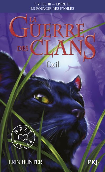 La guerre des clans cycle iii - tome 3 exil - vol03