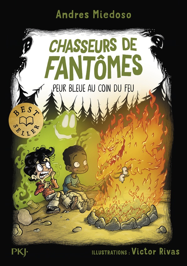 Chasseurs de fantomes - tome 08 peur bleue au coin du feu - vol08