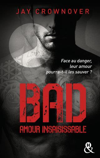 BAD - T5 AMOUR INSAISISSABLE - LE TOME 5 DE LA SERIE NEW ADULT A SUCCES DE JAY CROWNOVER - DES BAD B