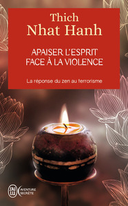 APAISER L'ESPRIT FACE A LA VIOLENCE - LA REPONSE ZEN AU TERRORISME