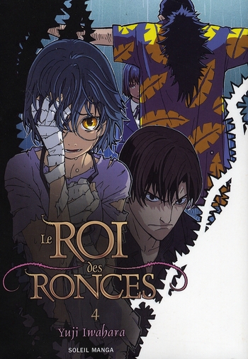 Roi des ronces - Tome 4