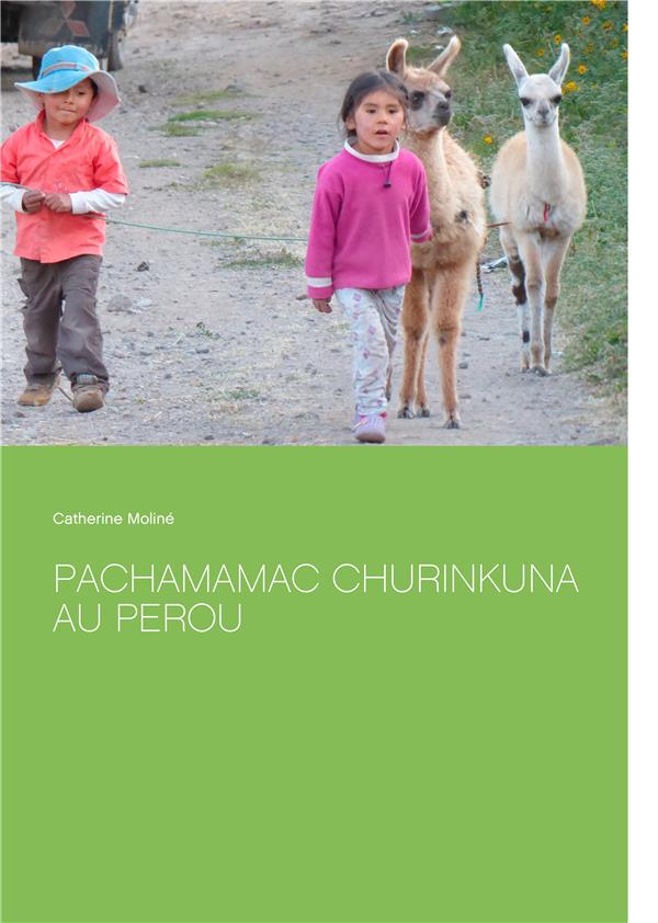 PACHAMAMAC CHURINKUNA AU PEROU - ILLUSTRATIONS, COULEUR