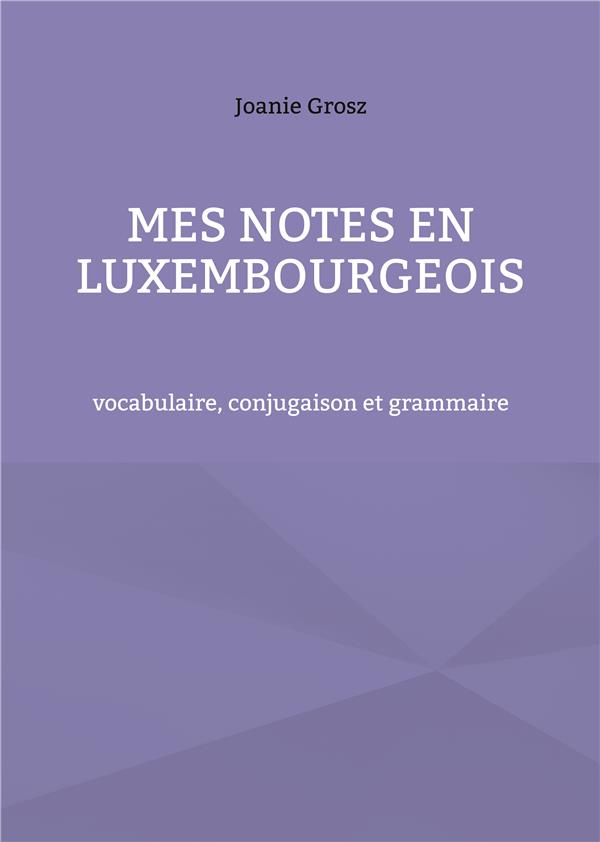 MES NOTES EN LUXEMBOURGEOIS - VOCABULAIRE, CONJUGAISON ET GRAMMAIRE - ILLUSTRATIONS, COULEUR