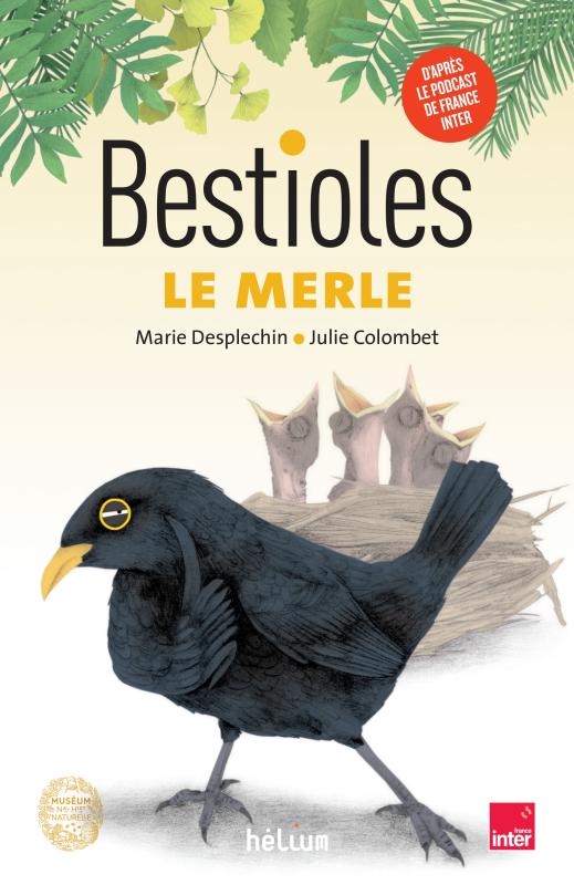 BESTIOLES - LE MERLE