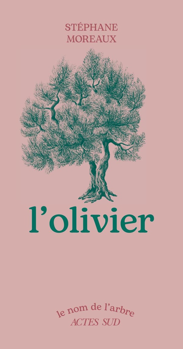 L'olivier