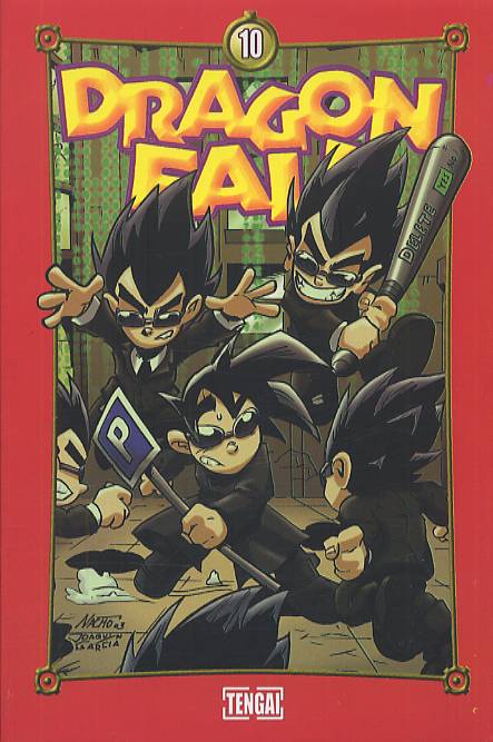 Dragon fall - Tome 10