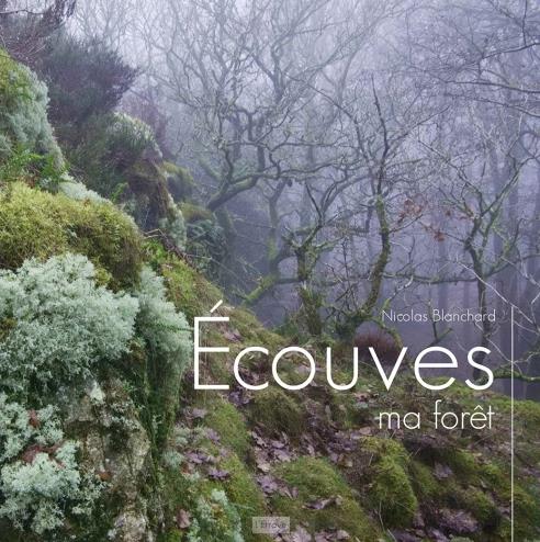 ECOUVES, MA FORET