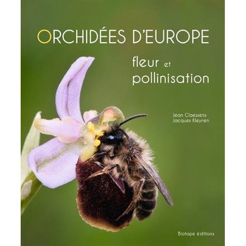 ORCHIDEES D'EUROPE FLEUR ET POLLINISATION