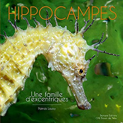 HIPPOCAMPES - UNE FAMILLE D'EXCENTRIQUES