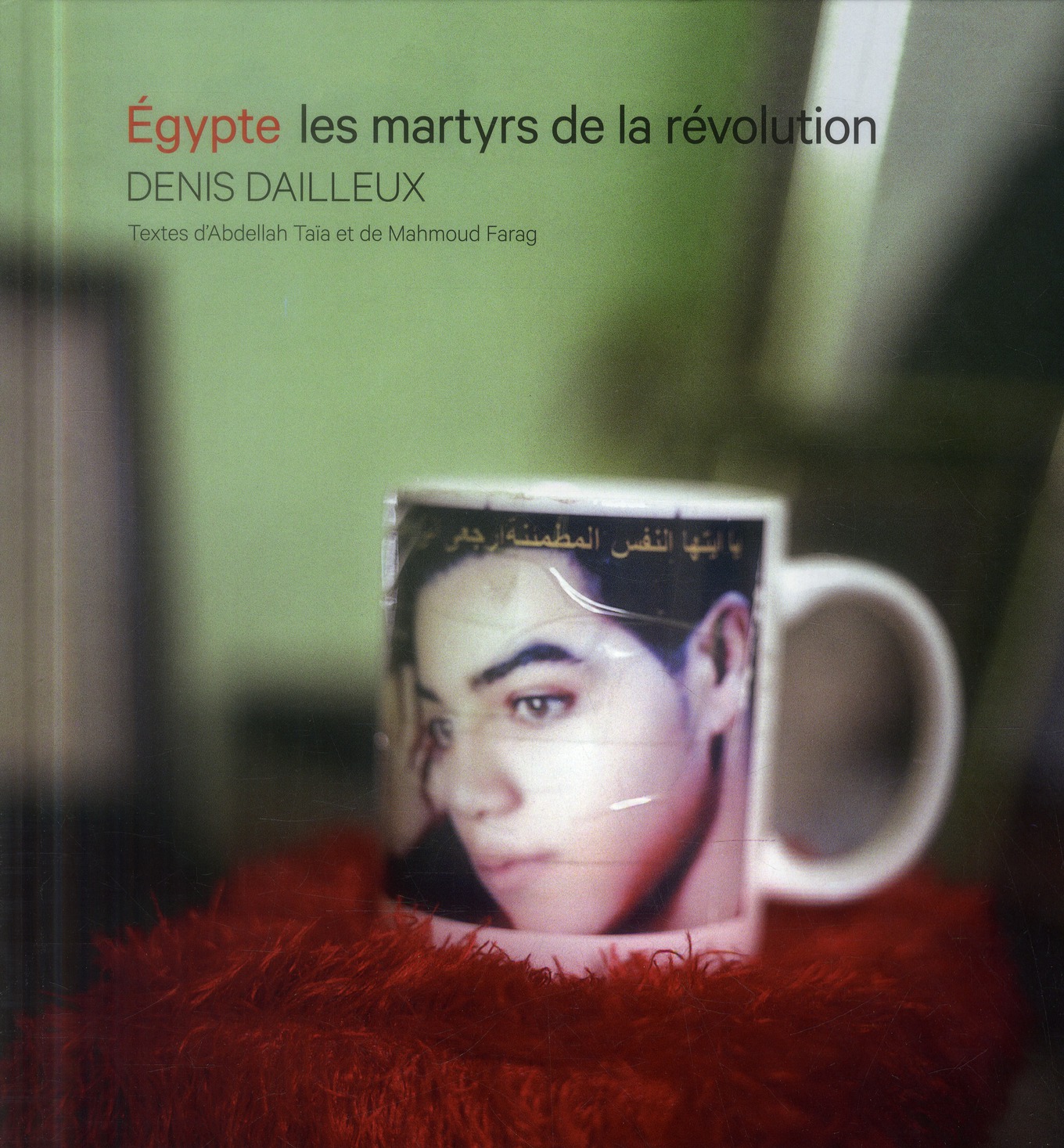 EGYPTE - LES MARTYRS DE LA REVOLUTION