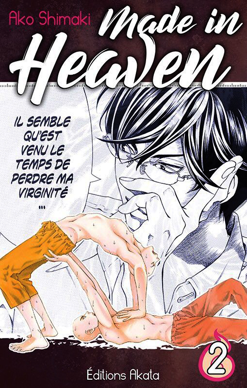 MADE IN HEAVEN - TOME 2 - VOL02