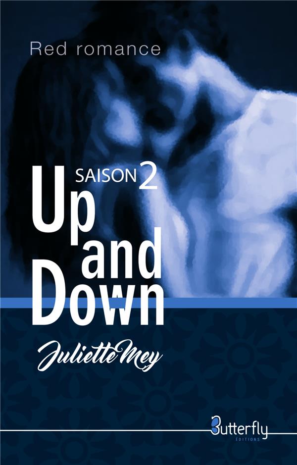 UP AND DOWN - TOME 2