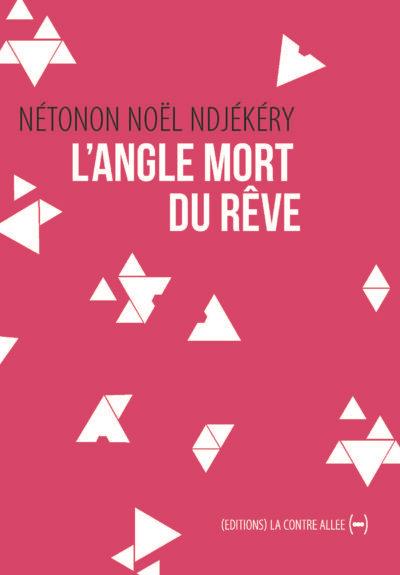 L'angle mort du reve