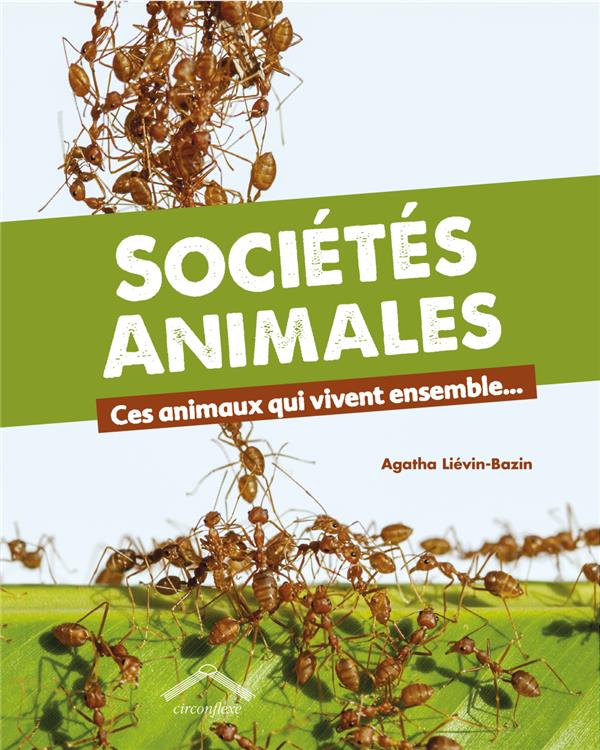 SOCIETES ANIMALES - CES ANIMAUX QUI VIVENT ENSEMBLE...