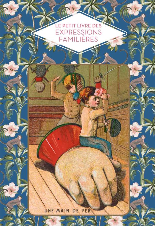 Le petit livre des expressions familieres