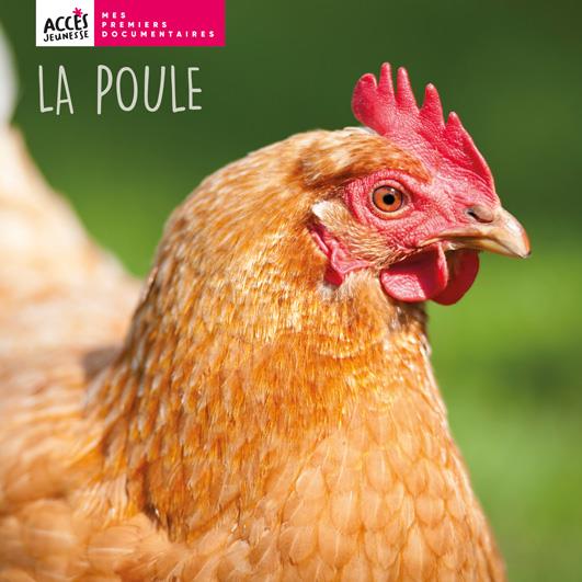 La poule