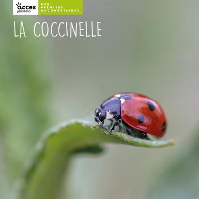 La coccinelle - mes premiers documentaires