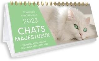 Semainier panoramique 2023 - chats majestueux - calendrier 1 photo par semaine