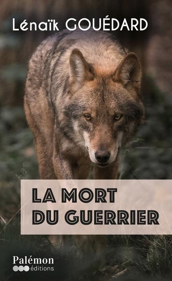 https://bddi.2dcom.fr/LocalImageExists