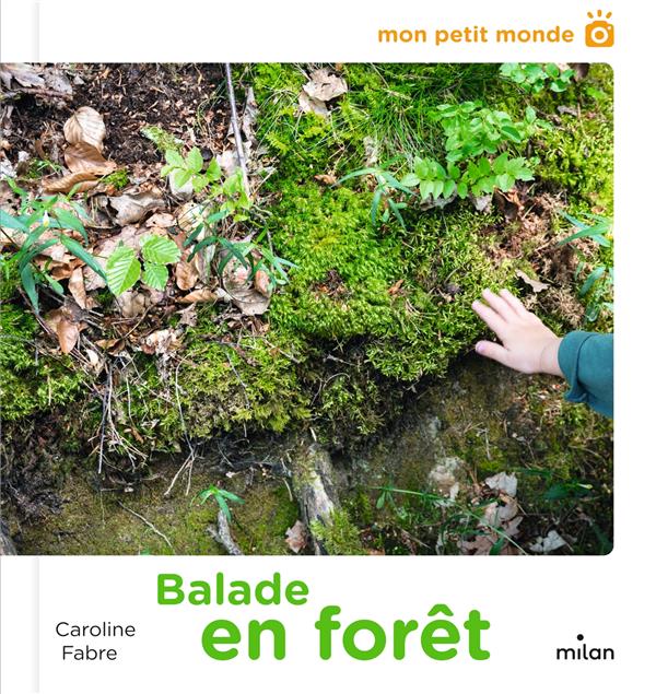 Balade en foret