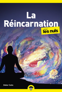 LA REINCARNATION POUR LES NULS, POCHE