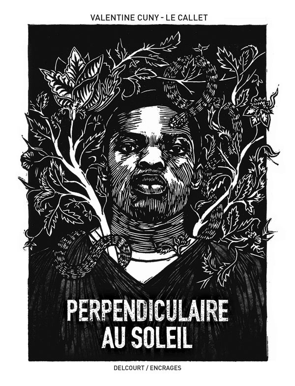 Perpendiculaire au soleil 